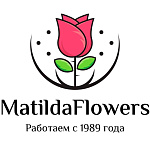 m-roses.com
